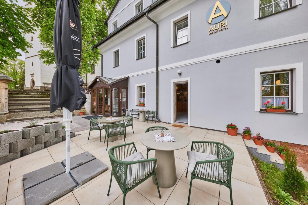 Hotel Auri Rudník 외부 사진