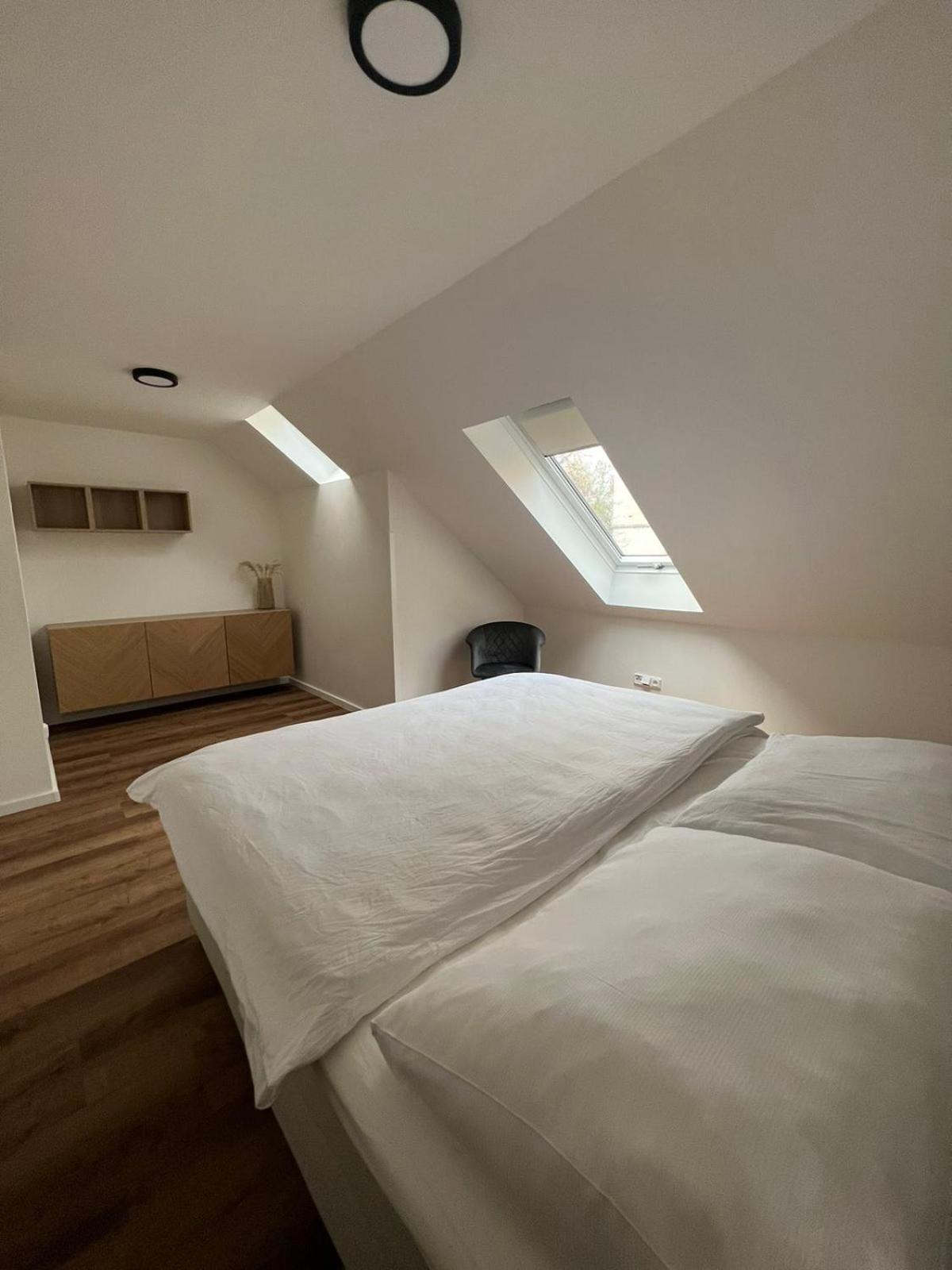Hotel Auri Rudník 외부 사진