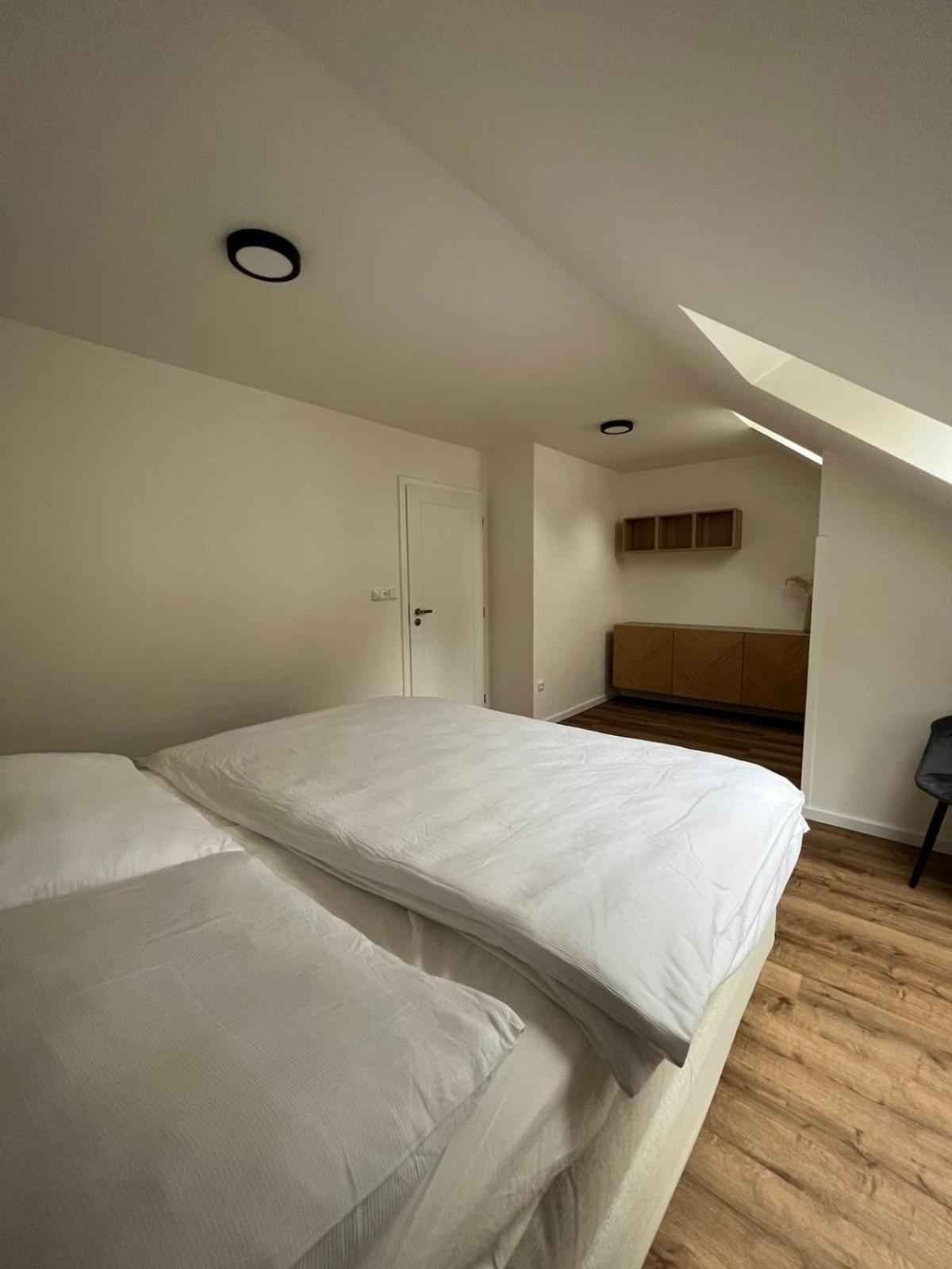 Hotel Auri Rudník 외부 사진