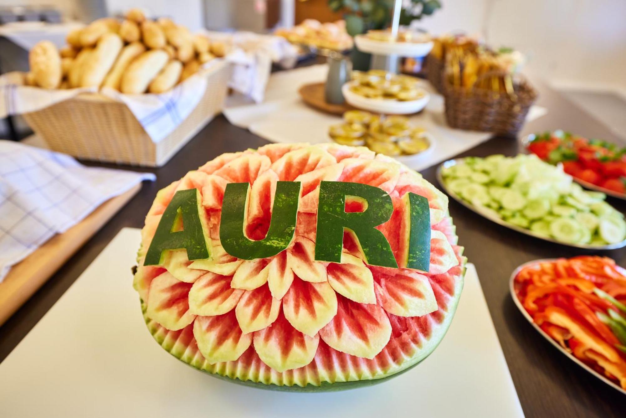Hotel Auri Rudník 외부 사진